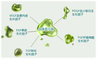 夫妻血液排斥导致不孕，应对策略与建议,权威诠释推进方式_tShop42.54.24