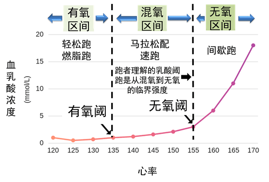 体育游戏与体育锻炼的专业解析评估，差异与关联分析,功能性操作方案制定_Executive99.66.67