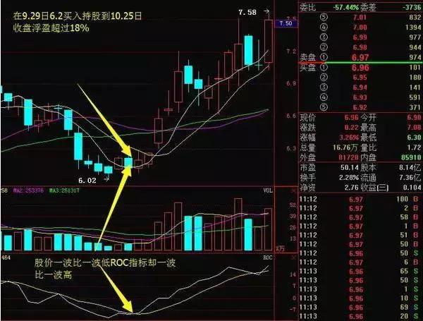 英伟达概念股票与仿真技术方案的深度融合，定制版6.22的潜力展望,迅速处理解答问题_C版27.663