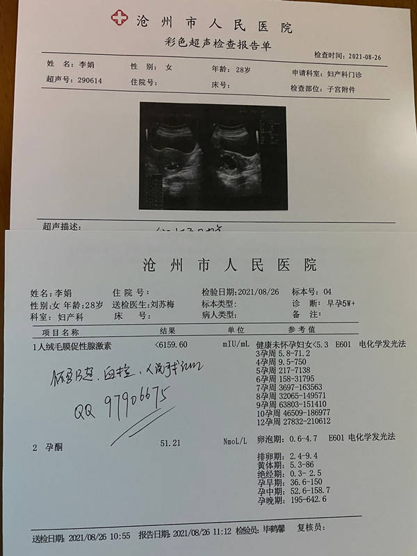 怀孕几天能测出来hcg,怀孕几天能测出来HCG，关于早期妊娠检测与创新的执行设计解析,迅速执行计划设计_mShop18.84.46