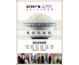 减肥店加盟都有哪些品牌,减肥店加盟品牌深度解析与评估——UHD版,深入解析设计数据_T16.15.70