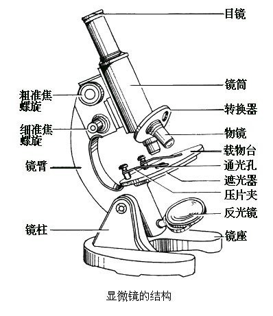 目镜和物镜用什么擦