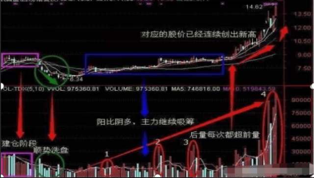 一码一肖100准确