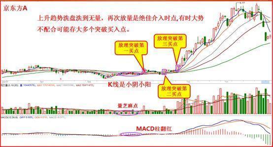 2025澳门特马今晚开什么