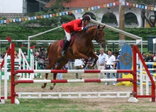 70999.Com澳门马会