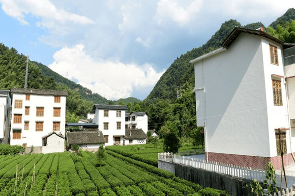 乡村宅基地改革试点县